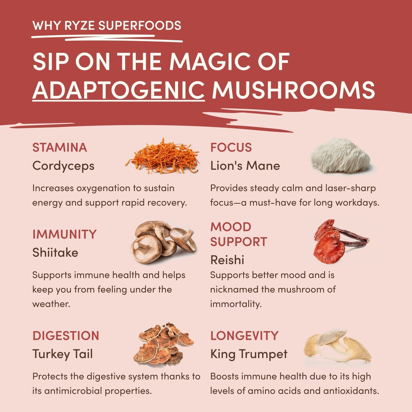 RYZE Mushroom Chai — Organic Instant Chai with Reishi & Organic Black Tea, 20 Servings